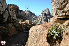 Torcal 2017 (55)