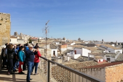 IMG-20190223-WA0006