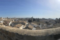 IMG-20190223-WA0010