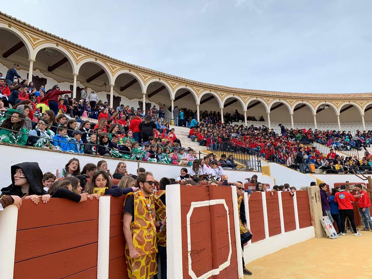 FB_IMG_1554489514770