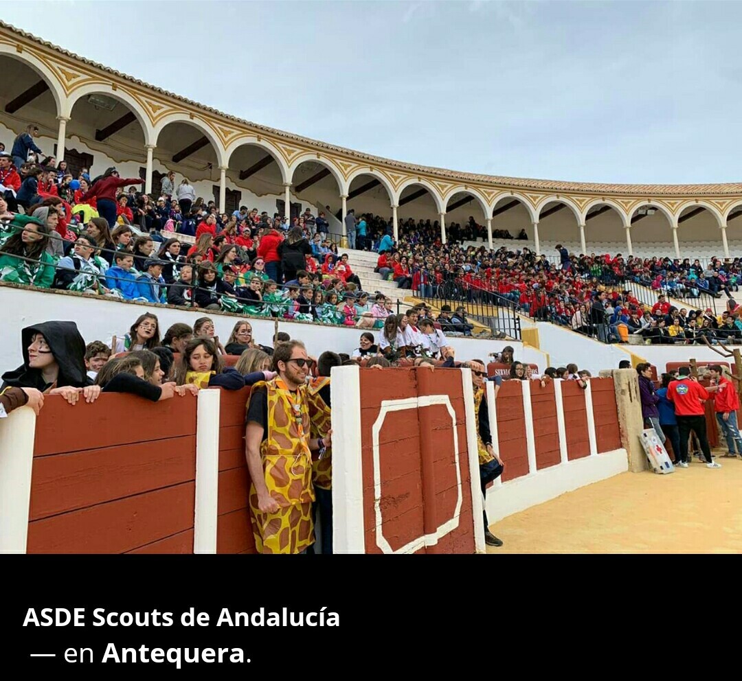 thumbnail_Screenshot_2019-04-05-20-38-42-1