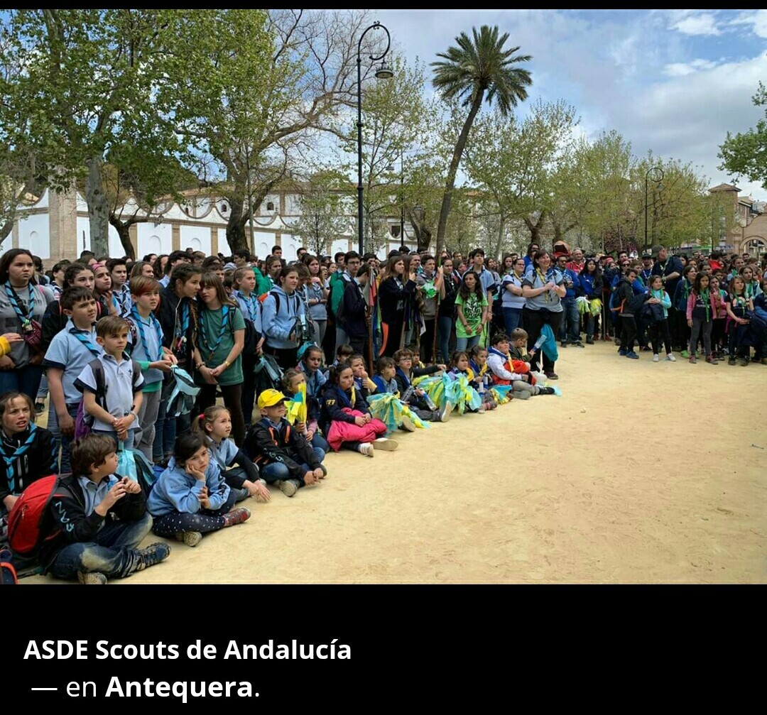 thumbnail_Screenshot_2019-04-05-20-38-54-1