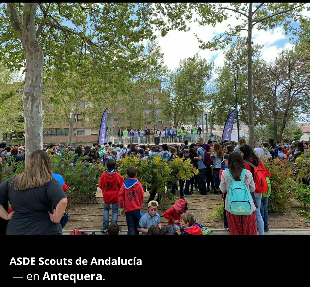 thumbnail_Screenshot_2019-04-05-20-39-05-2