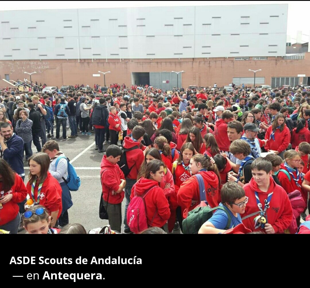 thumbnail_Screenshot_2019-04-05-20-39-52-1