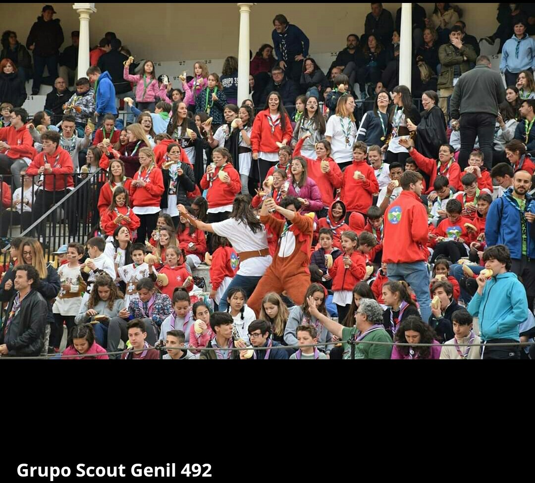 thumbnail_Screenshot_2019-04-05-20-40-32-1