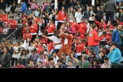 thumbnail_Screenshot_2019-04-05-20-40-32-1