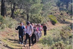 20180401_111921_HDR salto de la rejia tolox Jabali